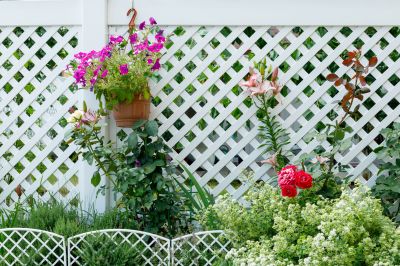 Decorative Vinyl Fence Service