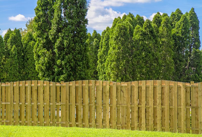 Wood Privacy Fences
