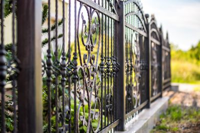 Decorative Iron Fences