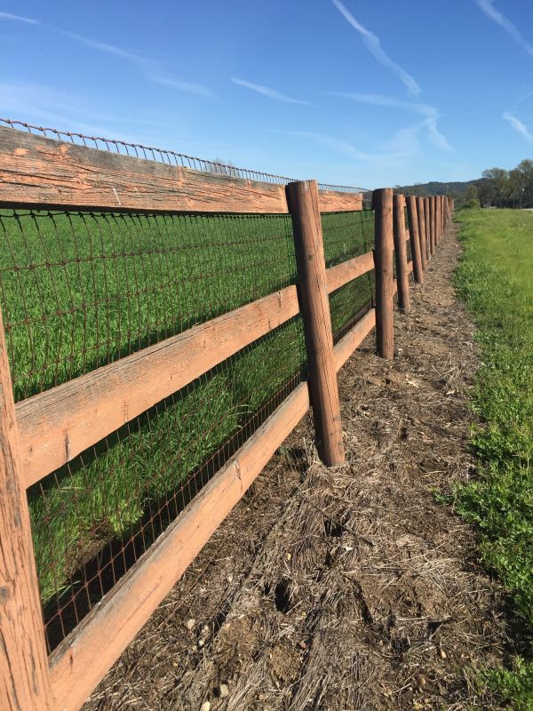 Ranch Fences